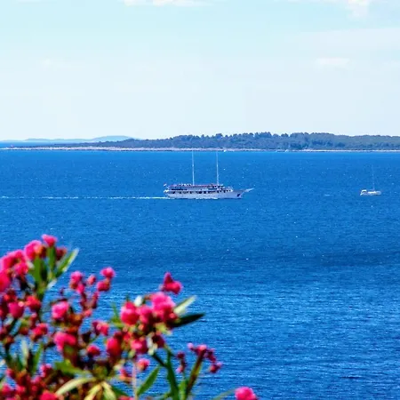 Stone House Poplat *