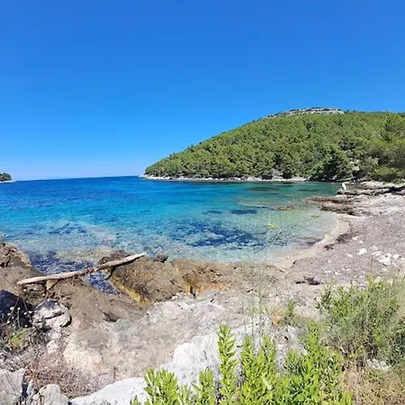 Villa Stone House Poplat Vela Luka