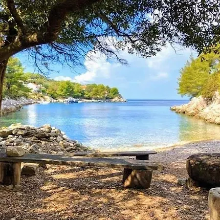 Villa Stone House Poplat Vela Luka