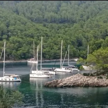 Stone House Poplat *