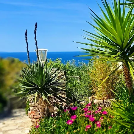 Stone House Poplat Villa